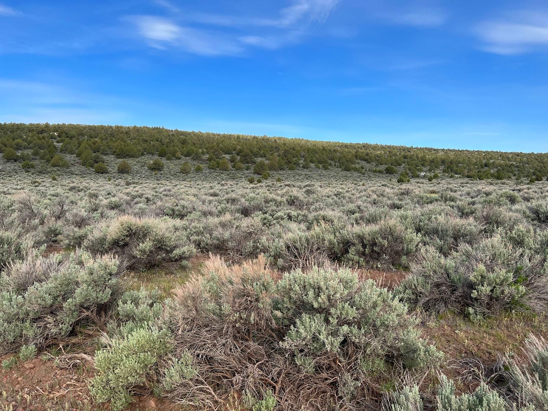 Termo, Lassen County, CA Recreational Property for sale Property ID