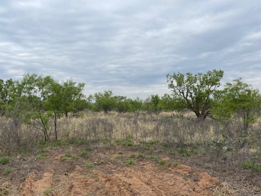 Robert Lee, Coke County, TX Farms and Ranches, Recreational Property