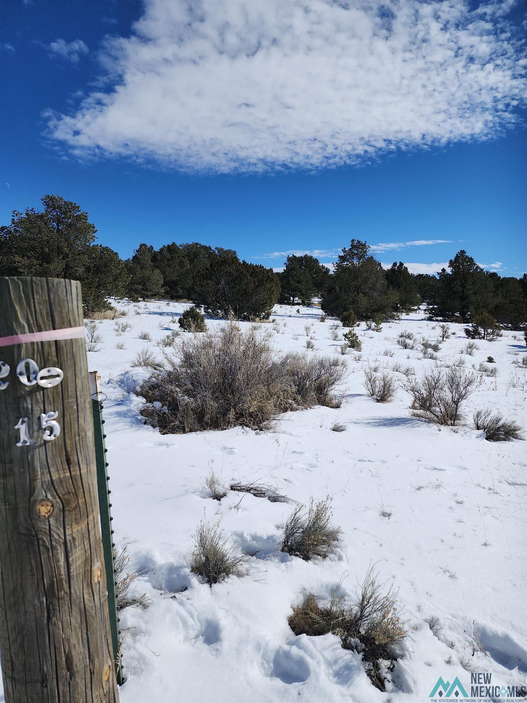 Pie Town, Catron County, NM Farms and Ranches for sale Property ID