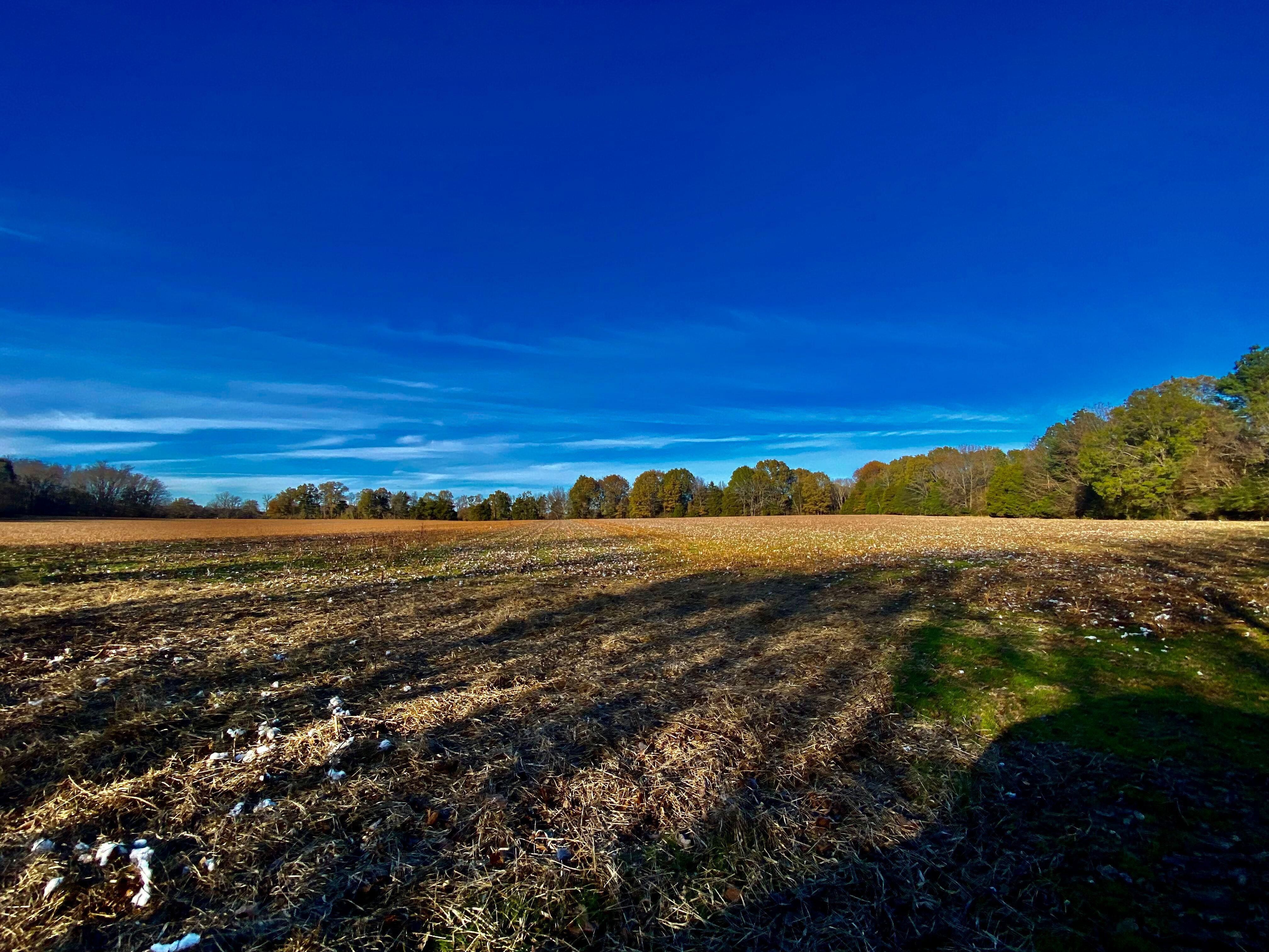 Somerville, Fayette County, TN for sale Property ID 415773451 LandWatch