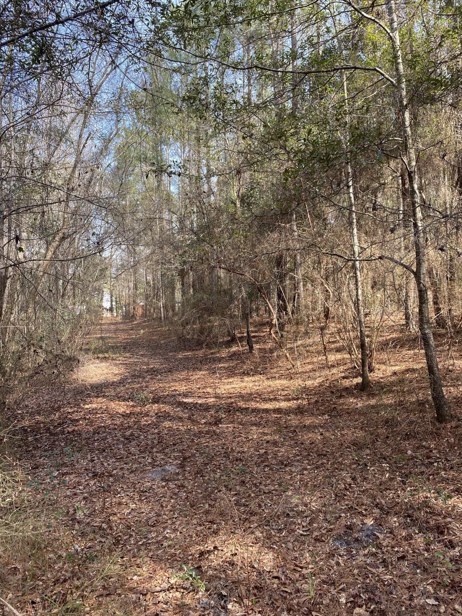Adams Run, Charleston County, SC Farms and Ranches, Lakefront Property