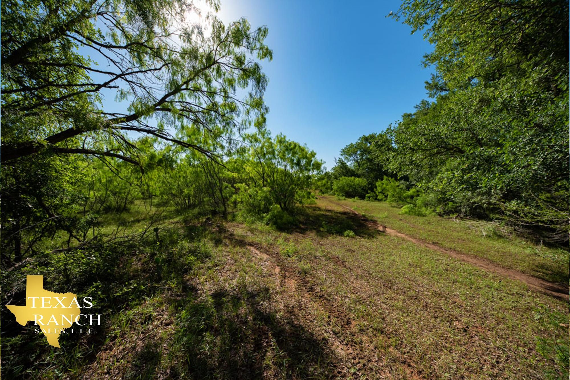 100 acres in Kingsbury, TX, 78638 LandWatch