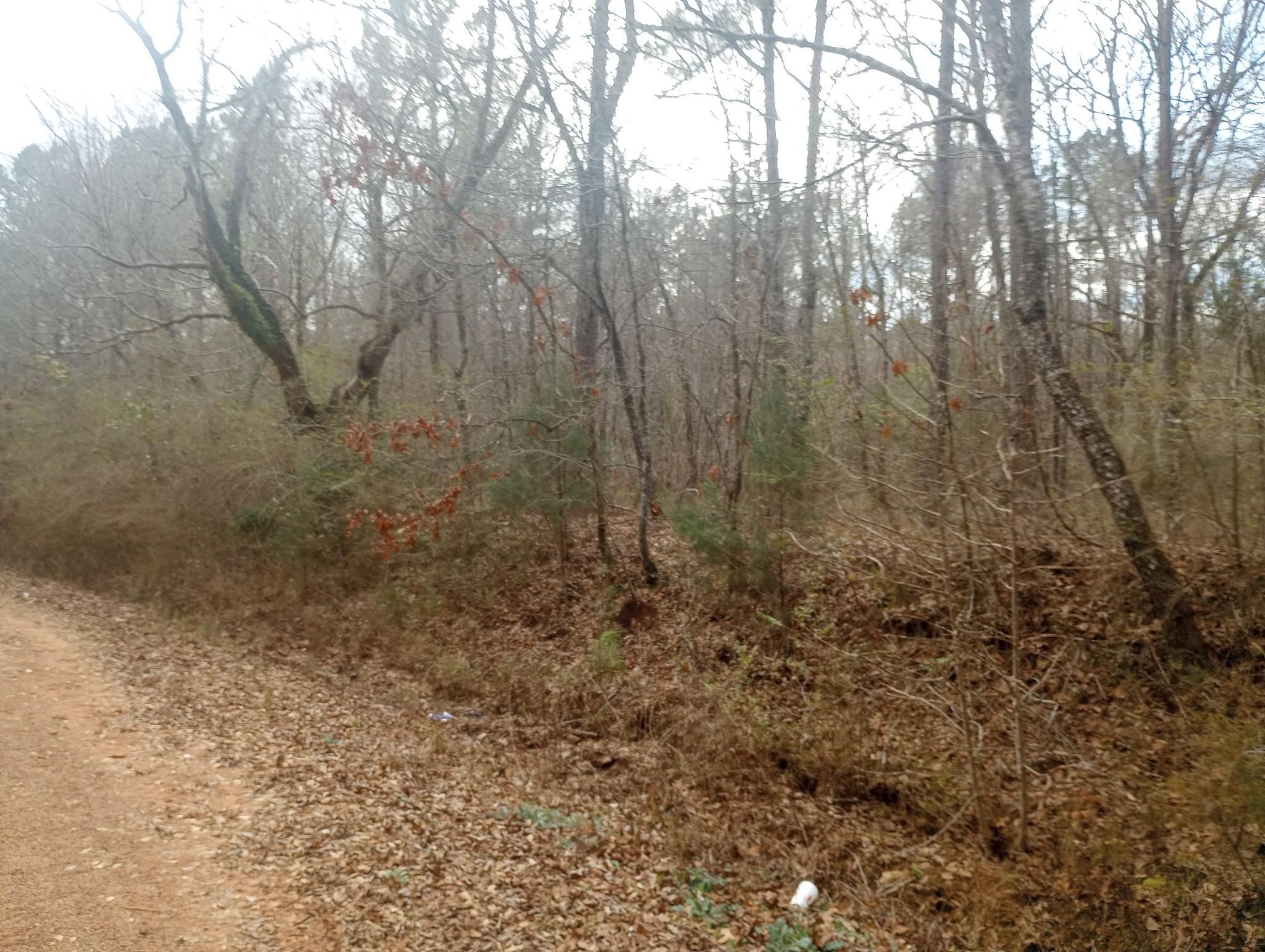 Warm Springs, Meriwether County, GA Recreational Property, Timberland