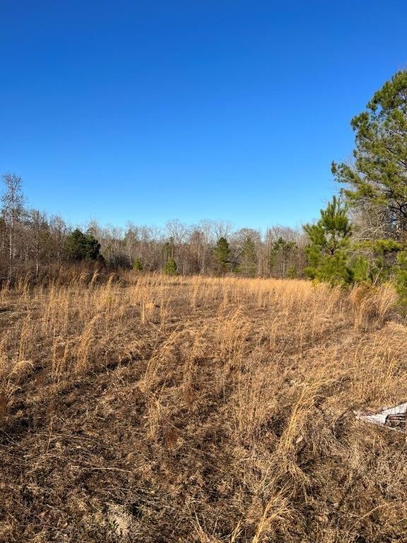 Sparta, Hancock County, GA Recreational Property, Hunting Property for