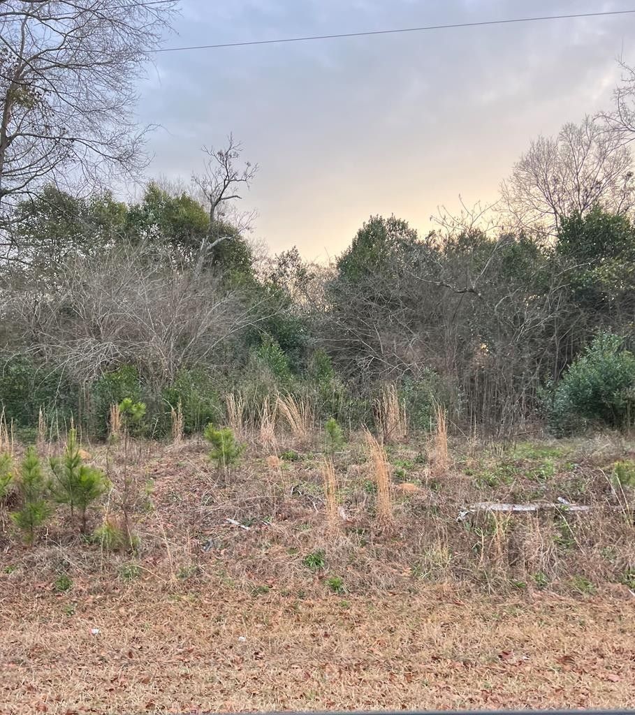 Sandersville, Washington County, GA Undeveloped Land for sale Property