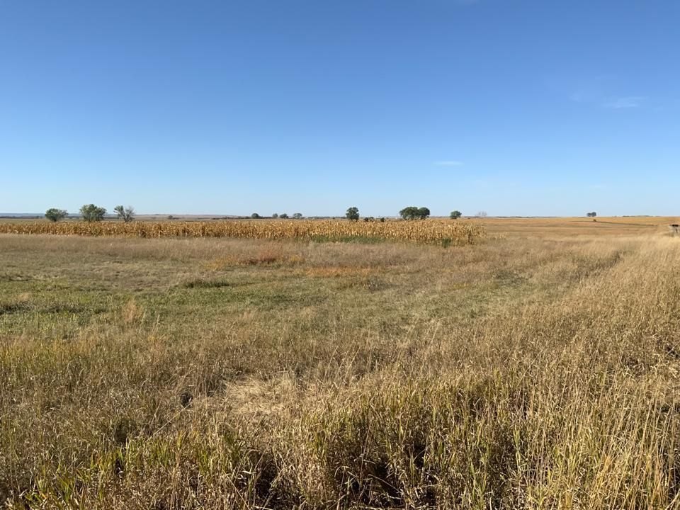Lennox, Lincoln County, SD Farms and Ranches for sale Property ID