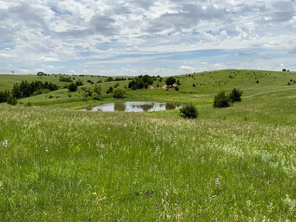 Highway 84, Bloomfield, NE 68718 LandWatch