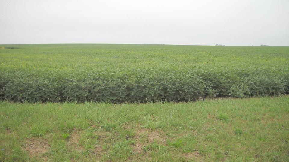 Onarga, Iroquois County, IL Farms and Ranches for sale Property ID