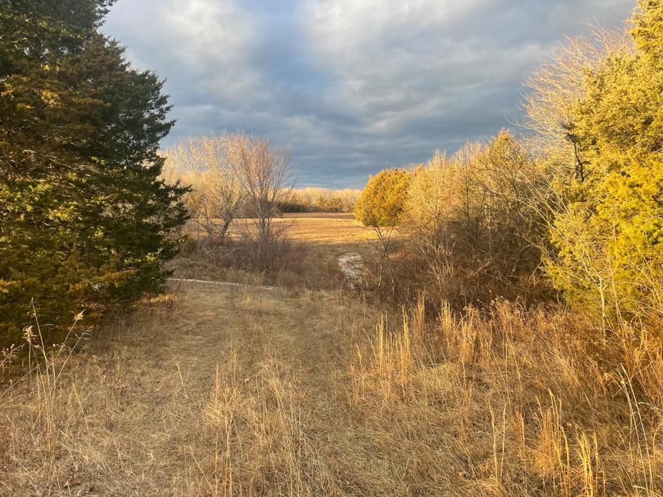 New Bloomfield, Callaway County, MO Recreational Property, Timberland