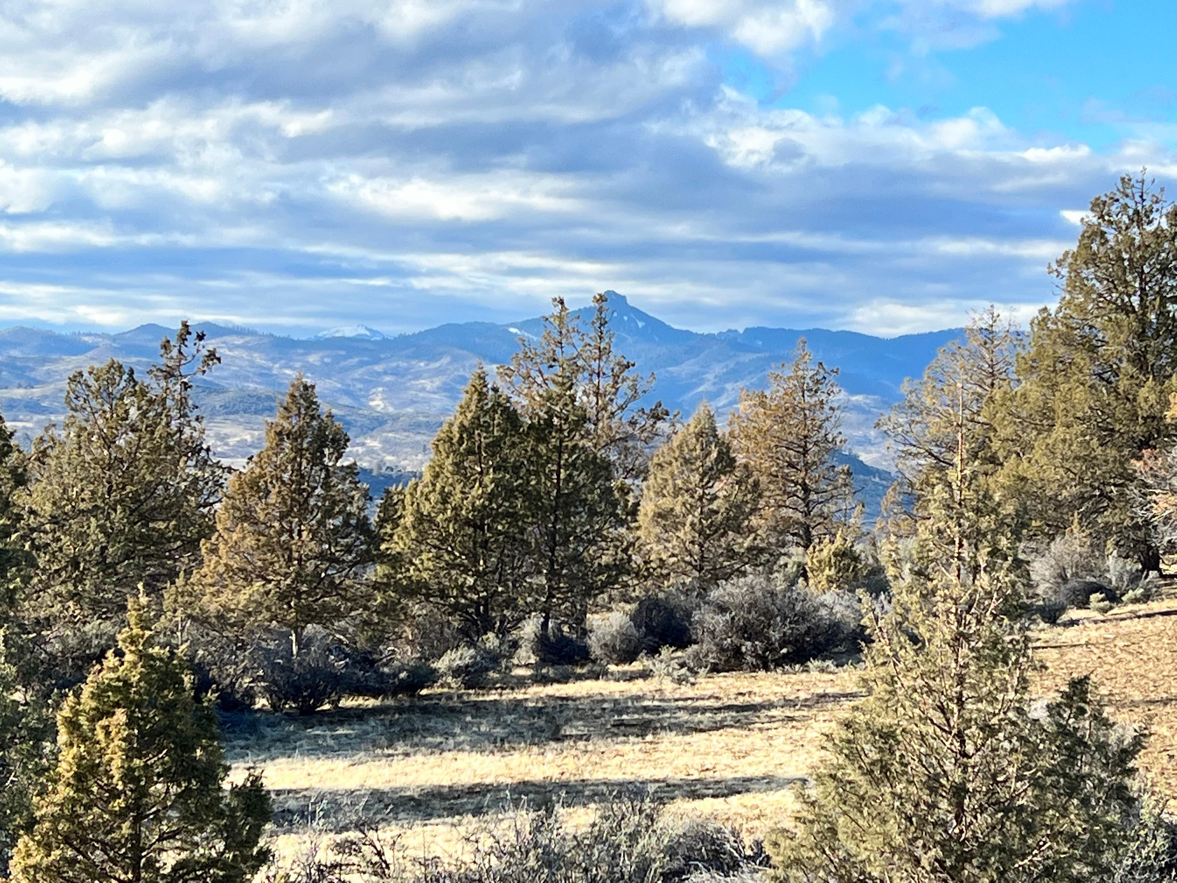 Hornbrook, Siskiyou County, CA Recreational Property, Undeveloped Land, Homesites for sale