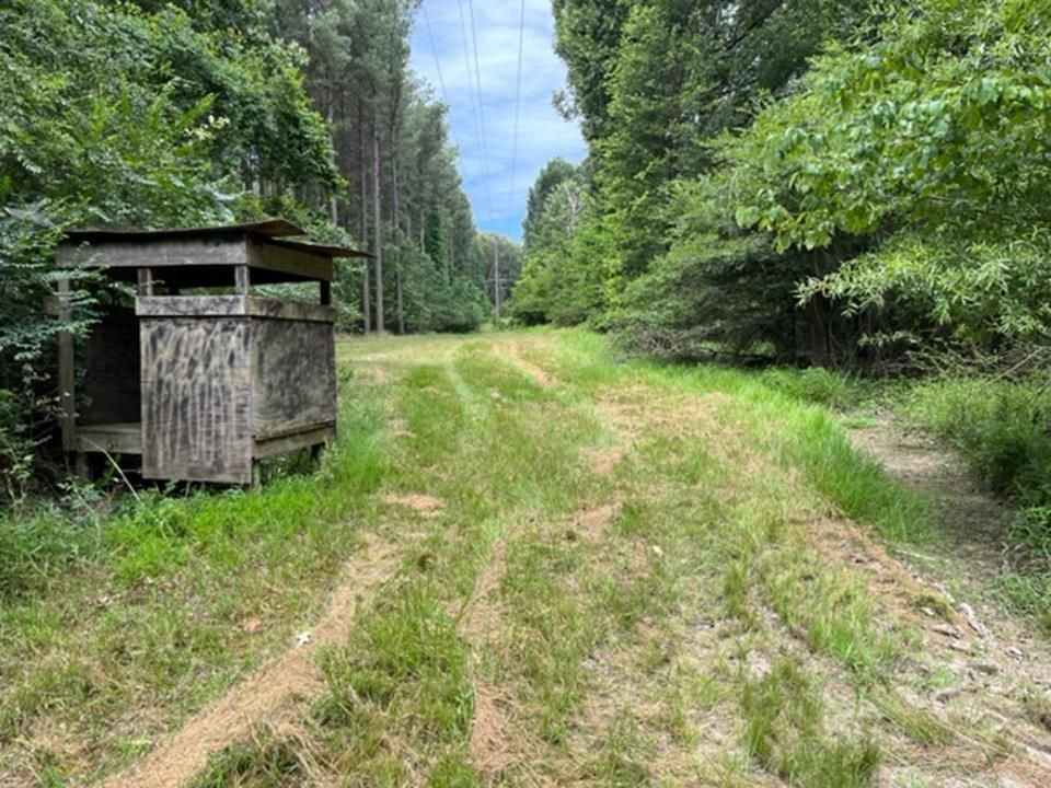 Hazen, Prairie County, AR Recreational Property, Timberland Property