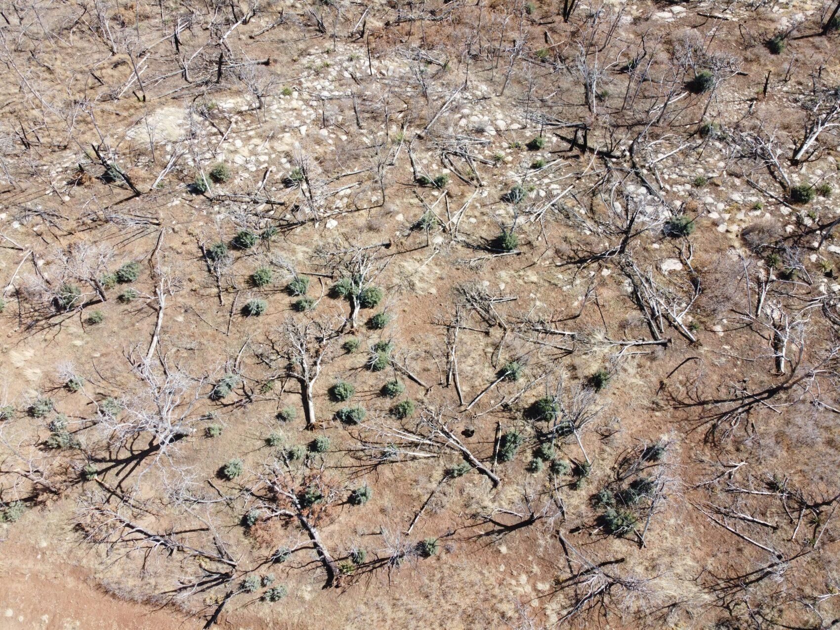 Estancia, Torrance County, NM Recreational Property, Homesites for sale