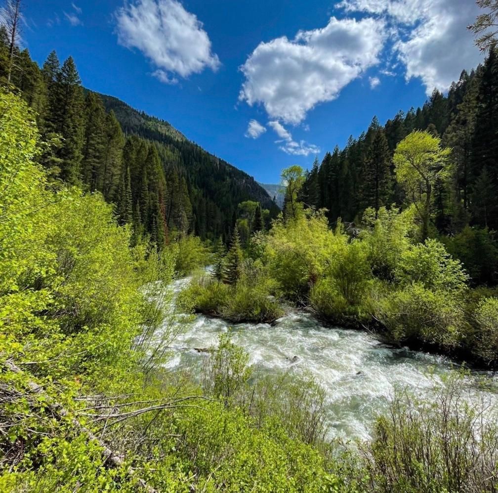 Gould, Jackson County, CO Recreational Property, Riverfront Property