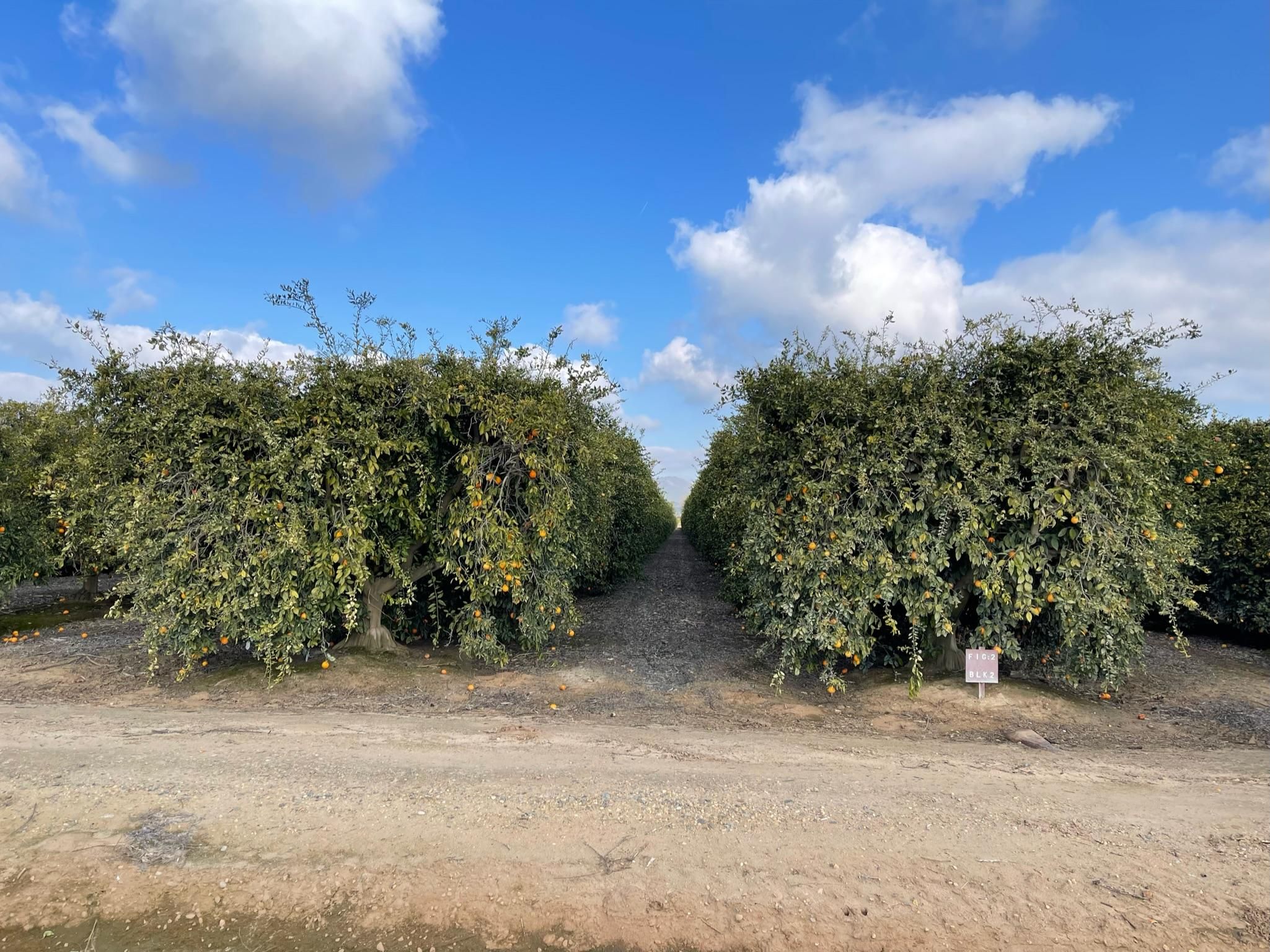 Reedley, Fresno County, CA Farms and Ranches for sale Property ID