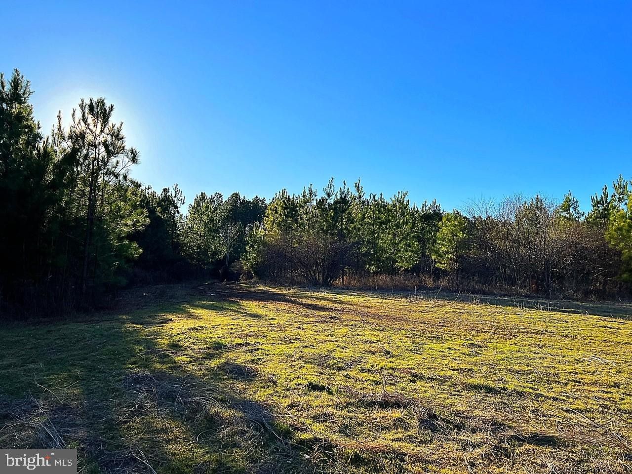 Lignum, Culpeper County, VA Undeveloped Land for sale Property ID