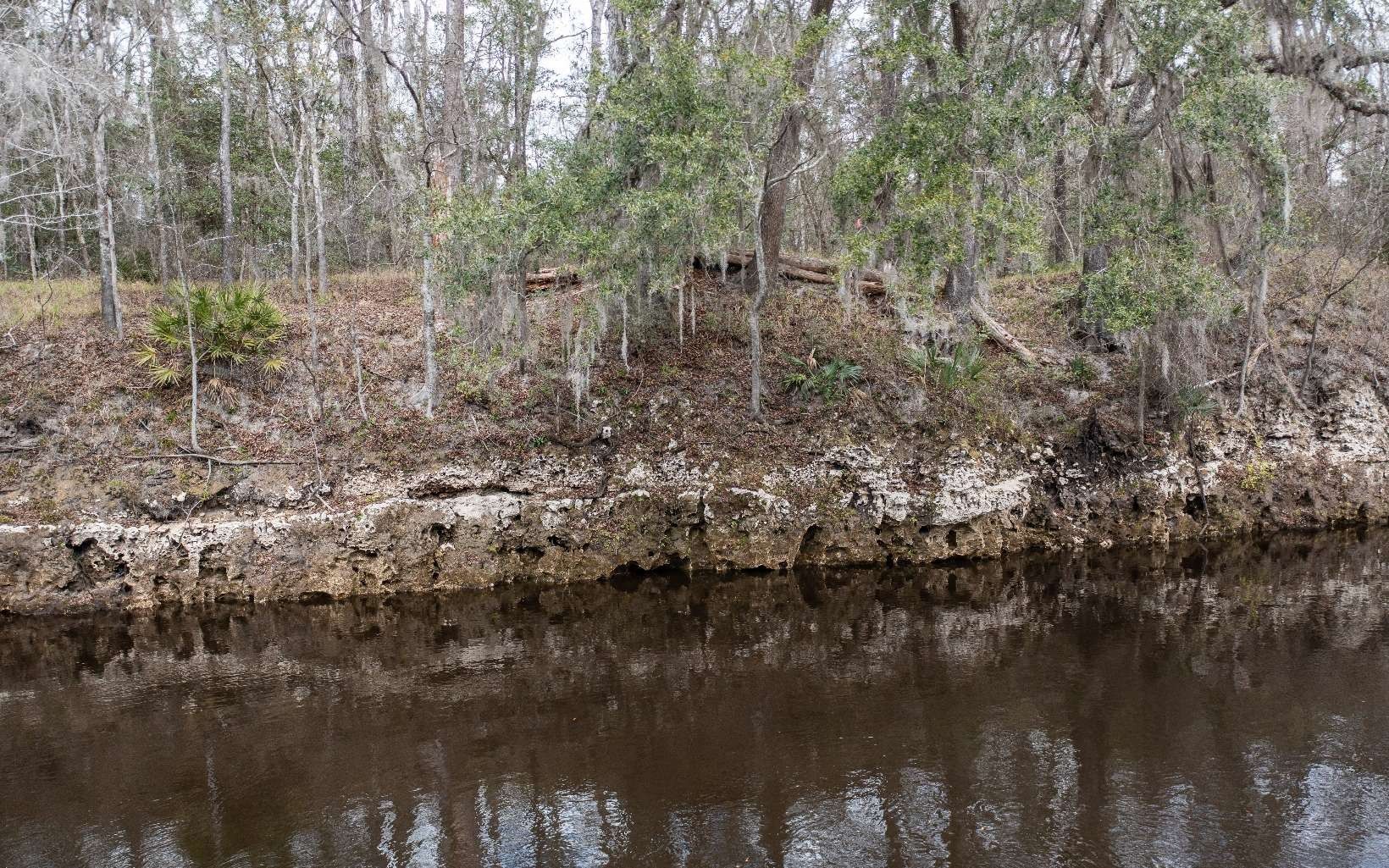 Jasper, Hamilton County, FL Farms and Ranches, Lakefront Property