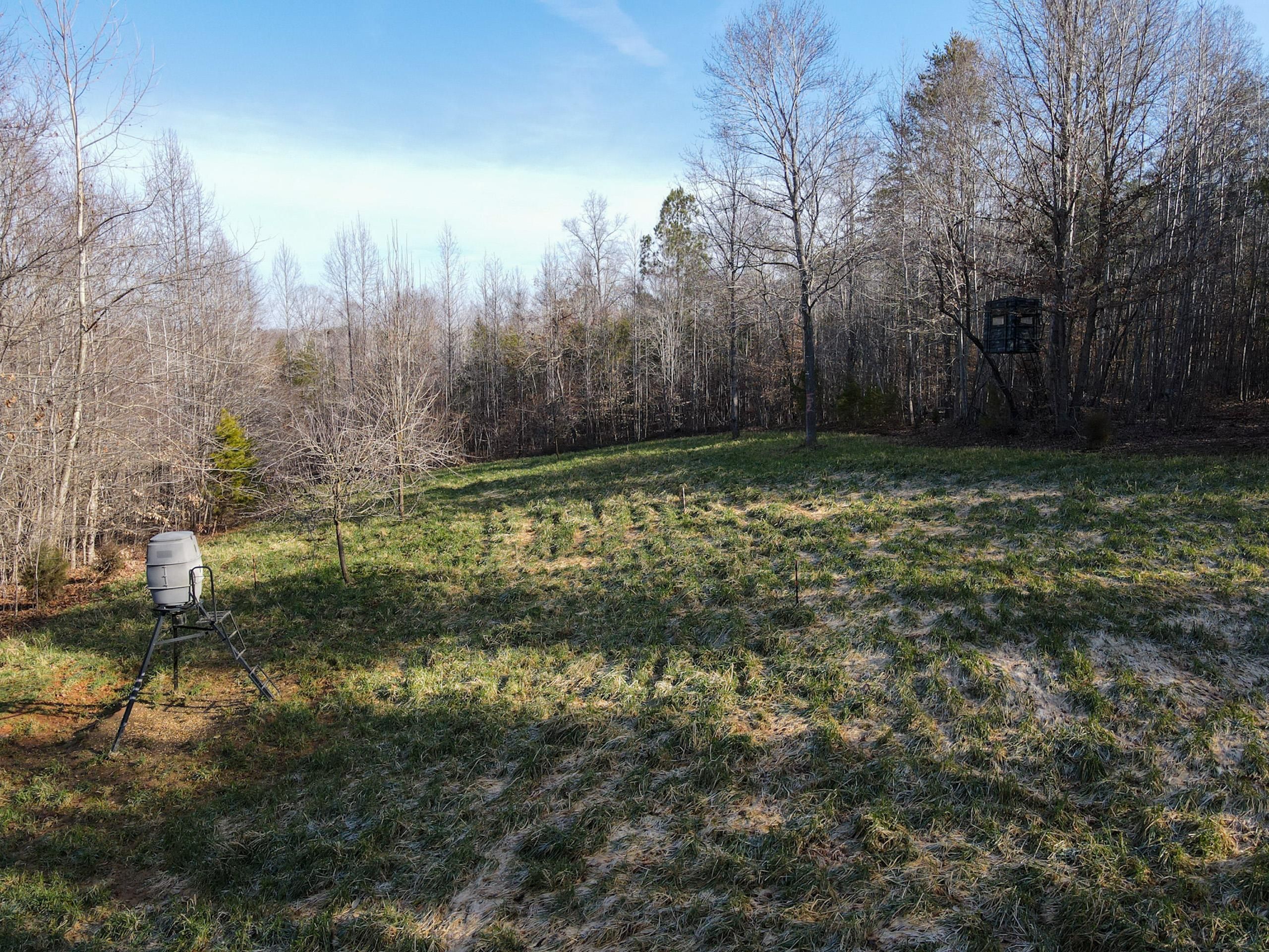 Reidsville, Rockingham County, NC Recreational Property, Timberland