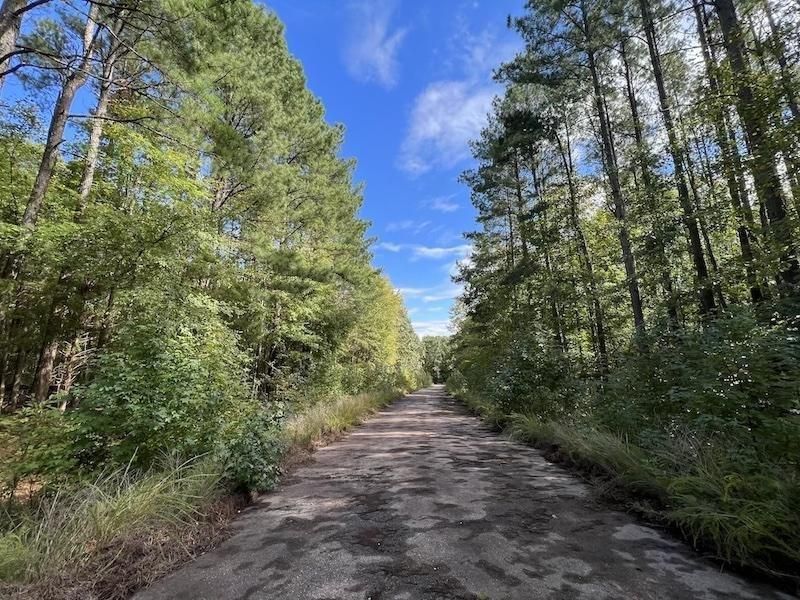 Kittrell, Franklin County, NC Recreational Property, Timberland