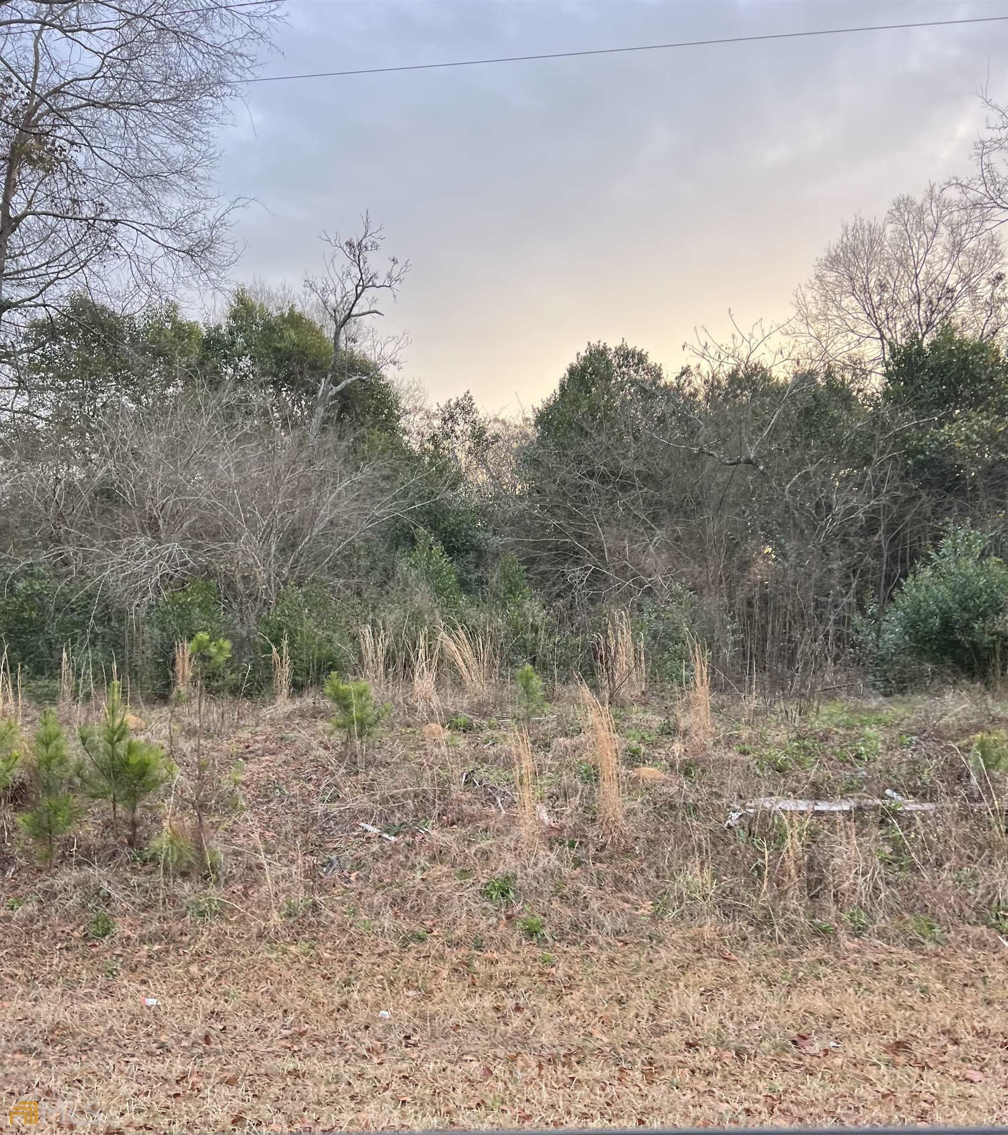 Sandersville, Washington County, GA Undeveloped Land for sale Property