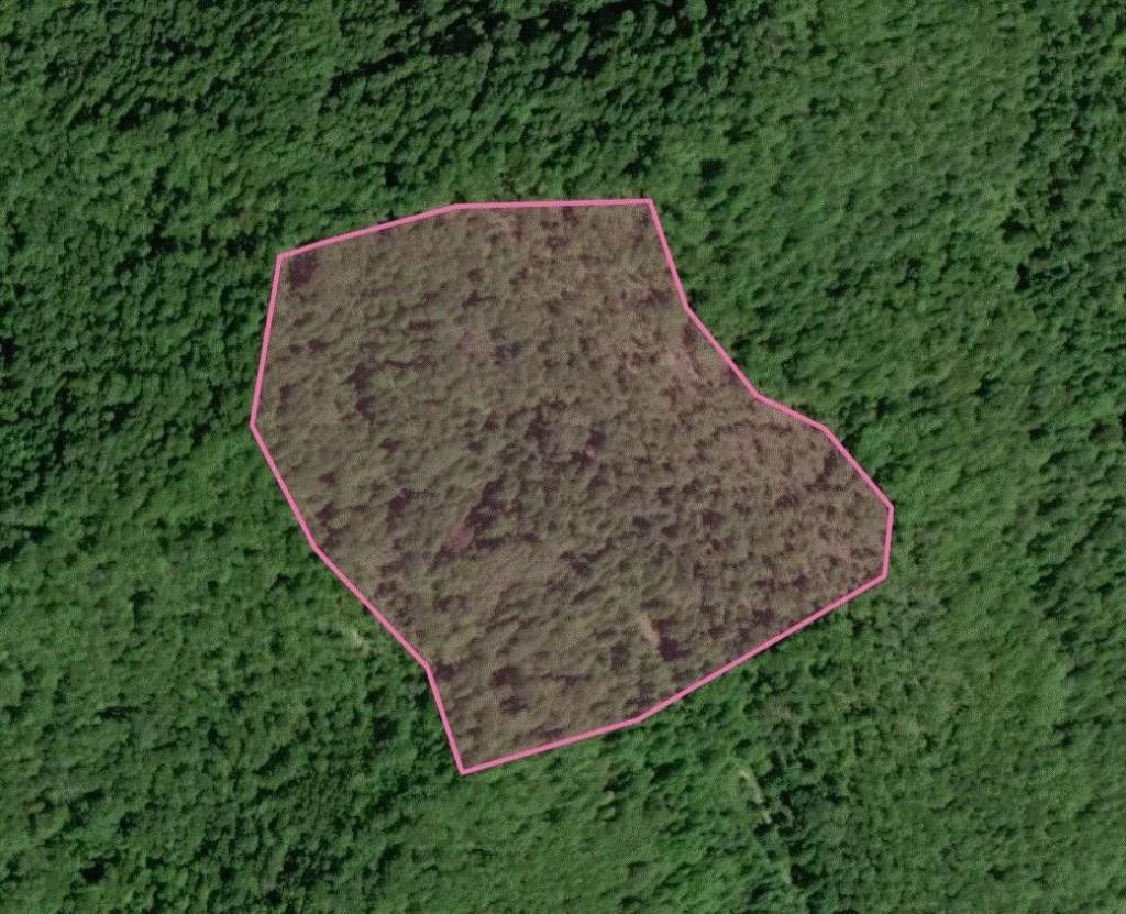 Crum, Wayne County, WV Undeveloped Land for sale Property ID 415785137