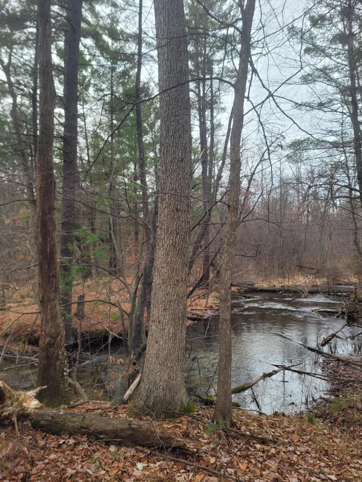 Pierson, Montcalm County, MI Undeveloped Land, Lakefront Property, Waterfront Property for sale