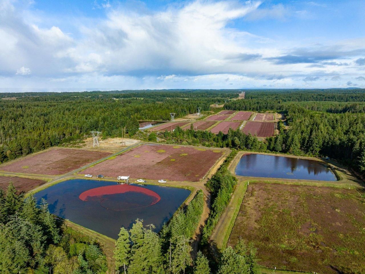 Bandon, Coos County, OR Farms and Ranches, House for sale Property ID