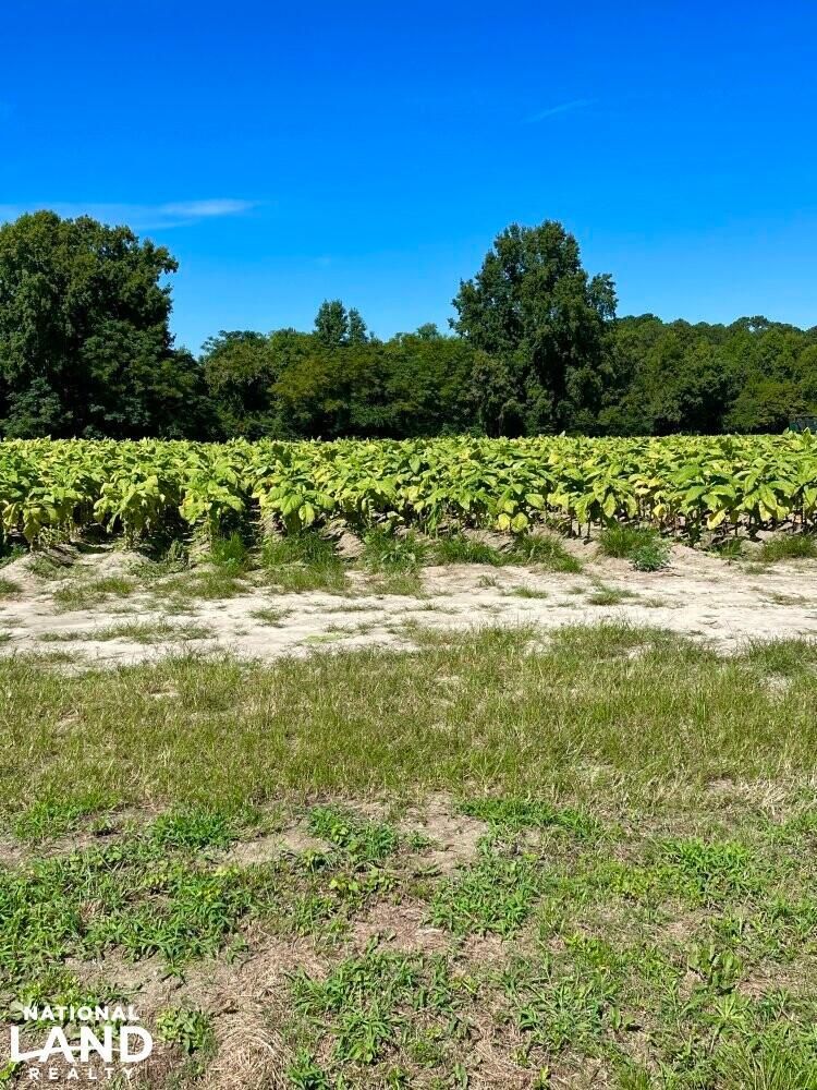 Kenly, Johnston County, NC Recreational Property, Hunting Property for