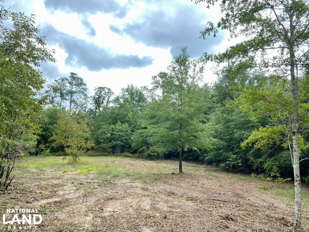Irwinton, Wilkinson County, GA Recreational Property, Undeveloped Land