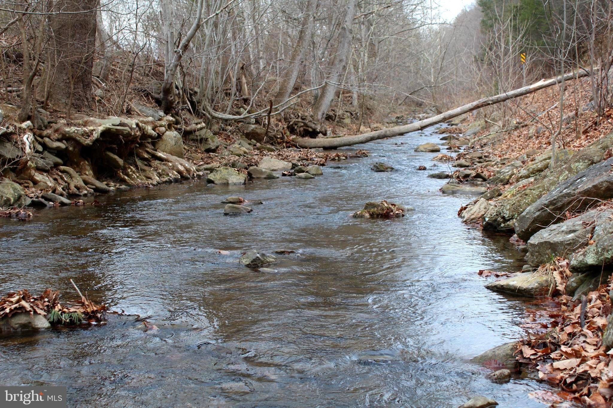 Maysville, Grant County, WV Undeveloped Land, Lakefront Property