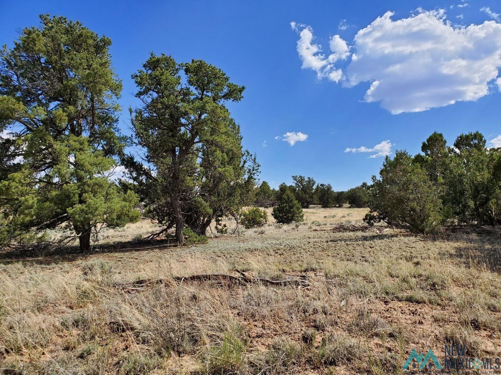 Pie Town, Catron County, NM Recreational Property, Horse Property for sale Property ID