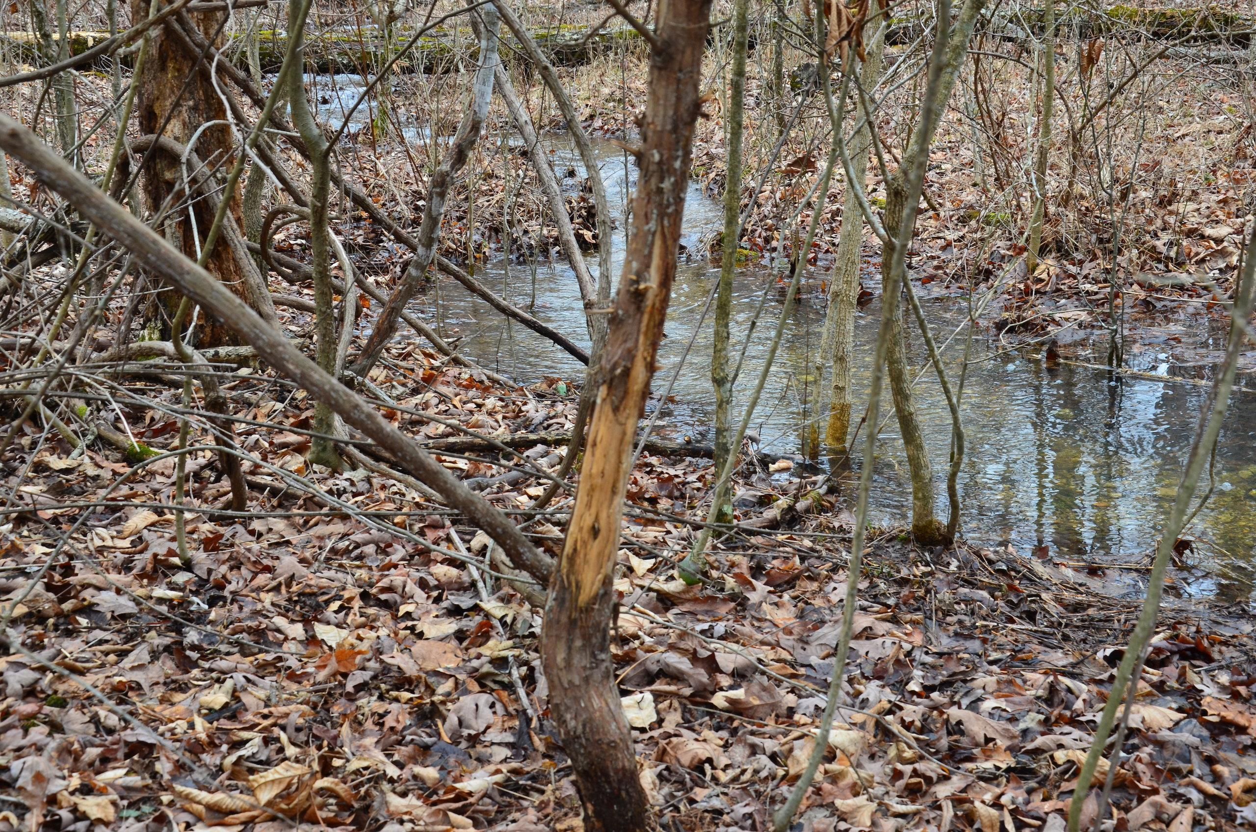Van Buren, Carter County, MO Recreational Property, Timberland Property