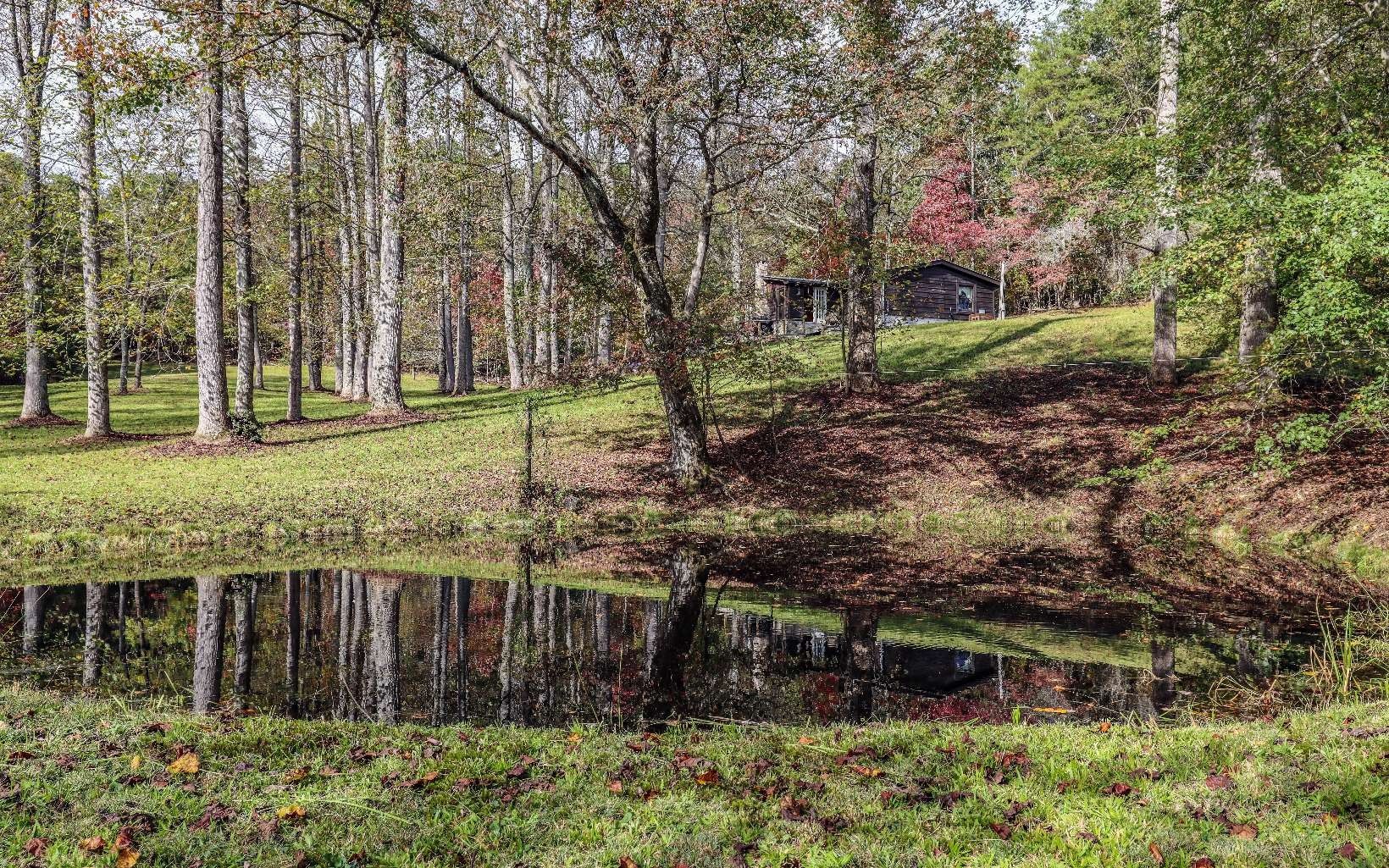 Mineral Bluff, Fannin County, GA Lakefront Property, Waterfront