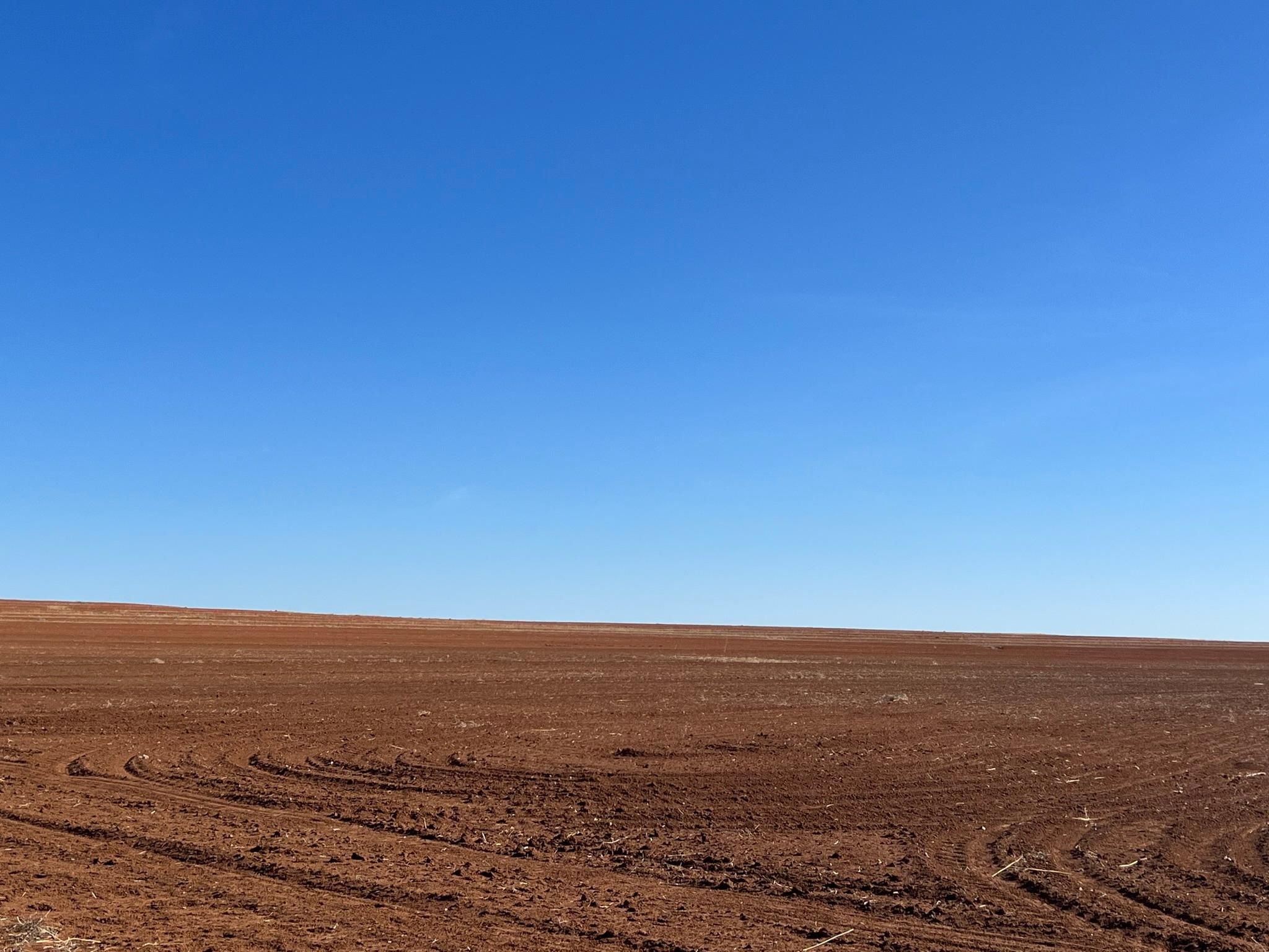 Lakeview, Hall County, TX Farms and Ranches for sale Property ID