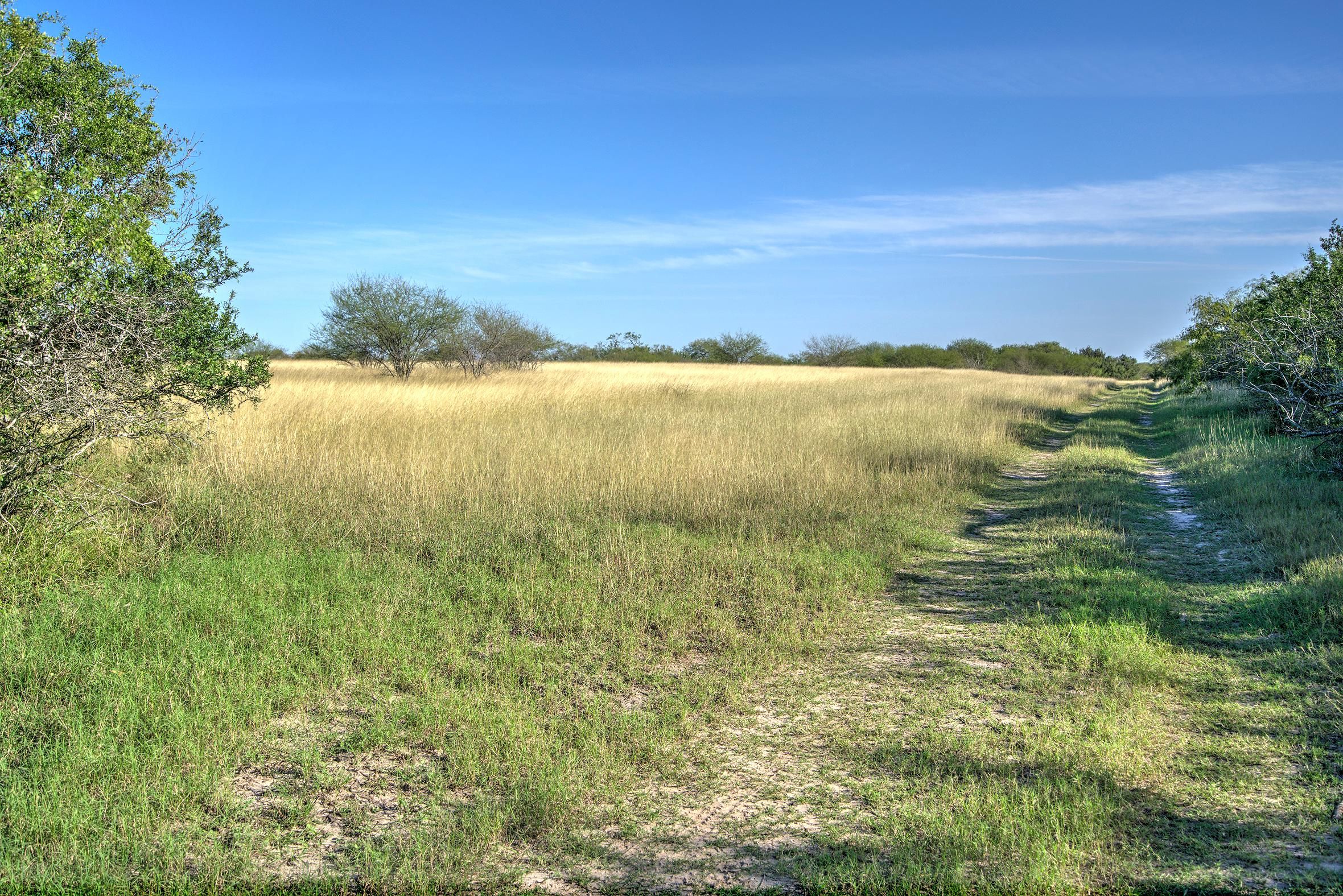 Sandia, Jim Wells County, TX Recreational Property, Hunting Property