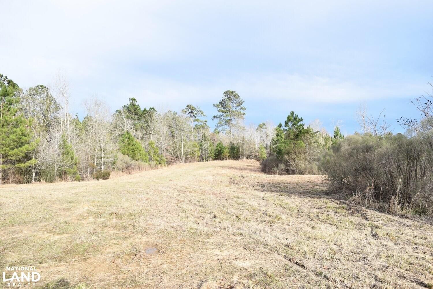 Roxie, Franklin County, MS Recreational Property, Timberland Property