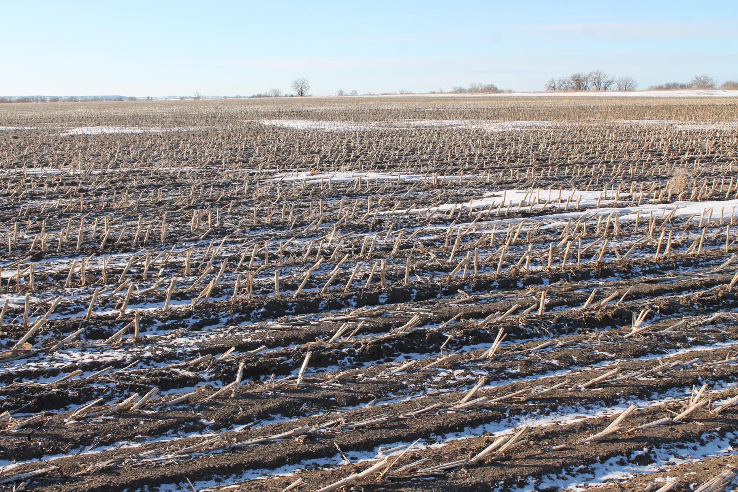 Sidney, Richland County, MT Farms and Ranches, Recreational Property