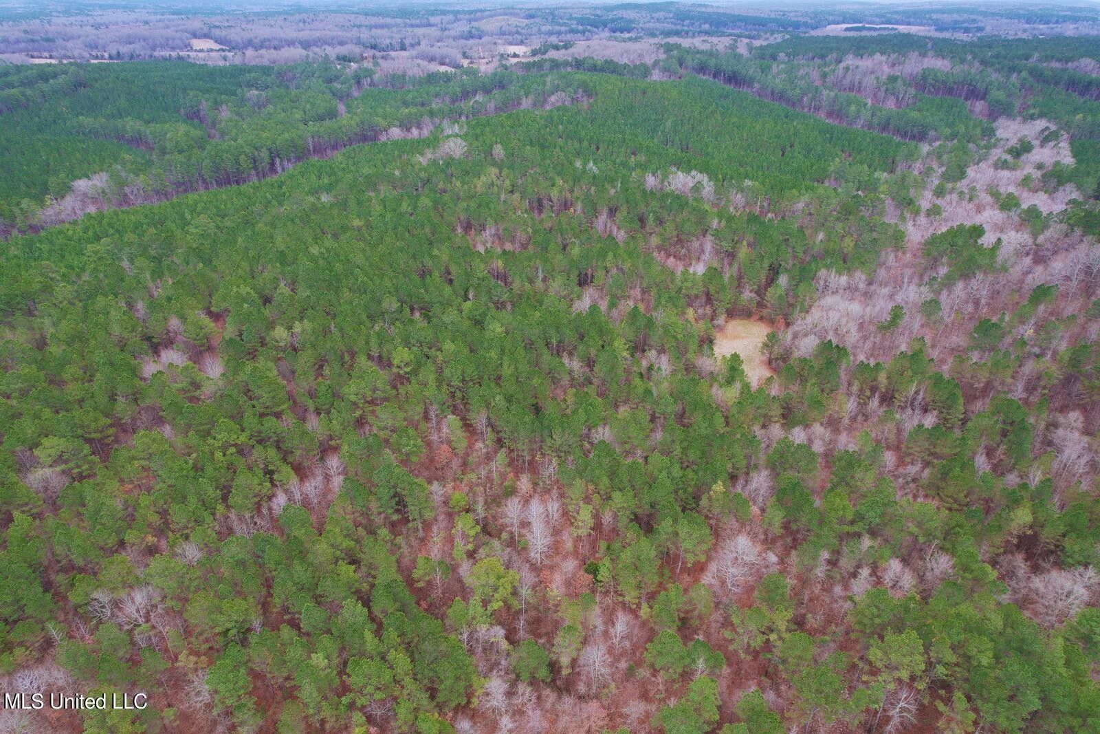 Winona, Montgomery County, MS Farms and Ranches for sale Property ID