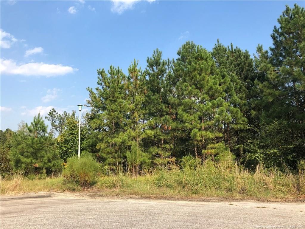 Bunnlevel, County, NC Undeveloped Land, Homesites for sale