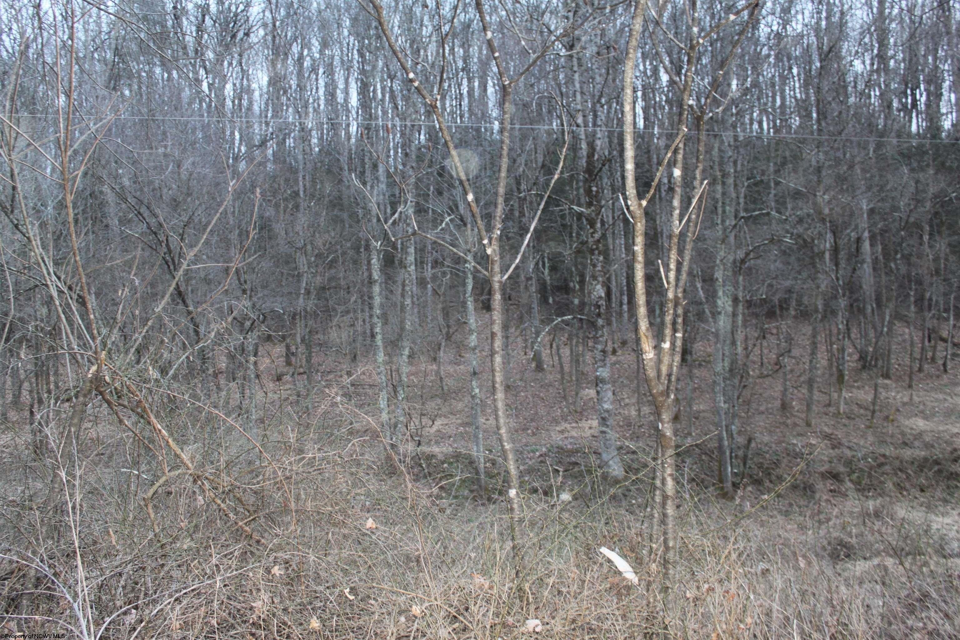 Upperglade, ster County, WV Undeveloped Land for sale Property ID 415795270 LandWatch