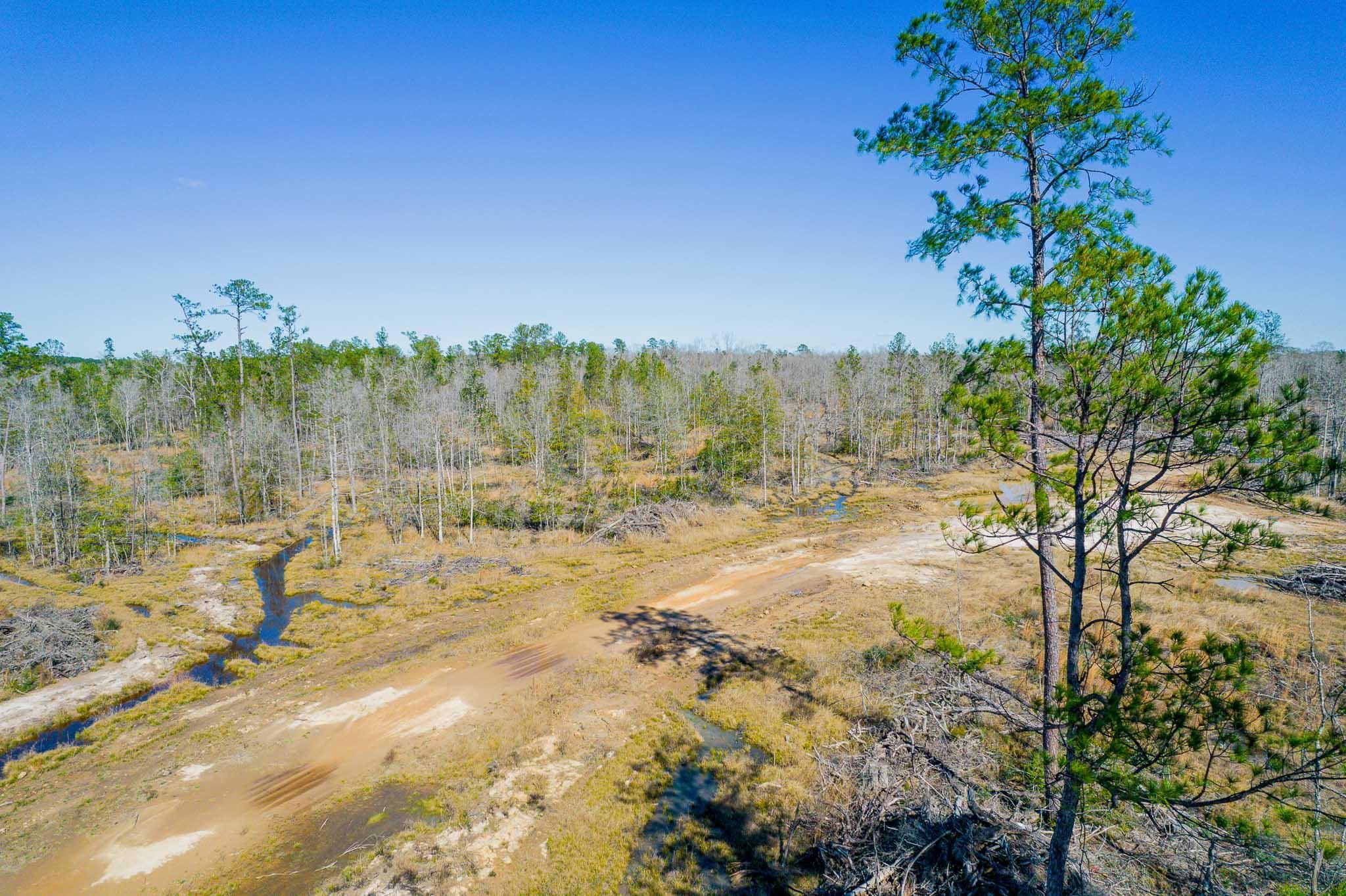 Buna, Jasper County, TX Recreational Property, Hunting Property for