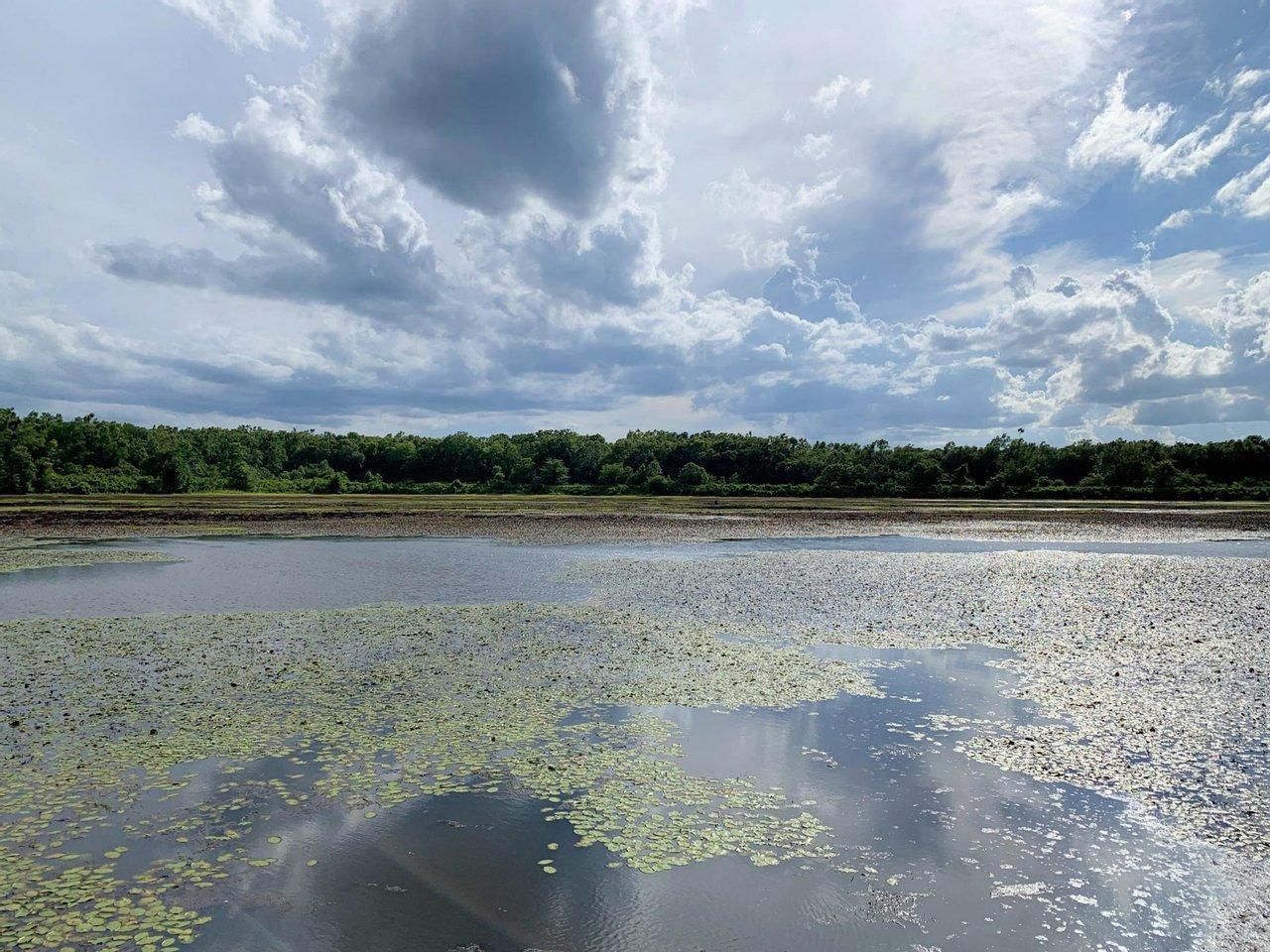 Harrisonburg, Catahoula Parish, LA Recreational Property, Hunting