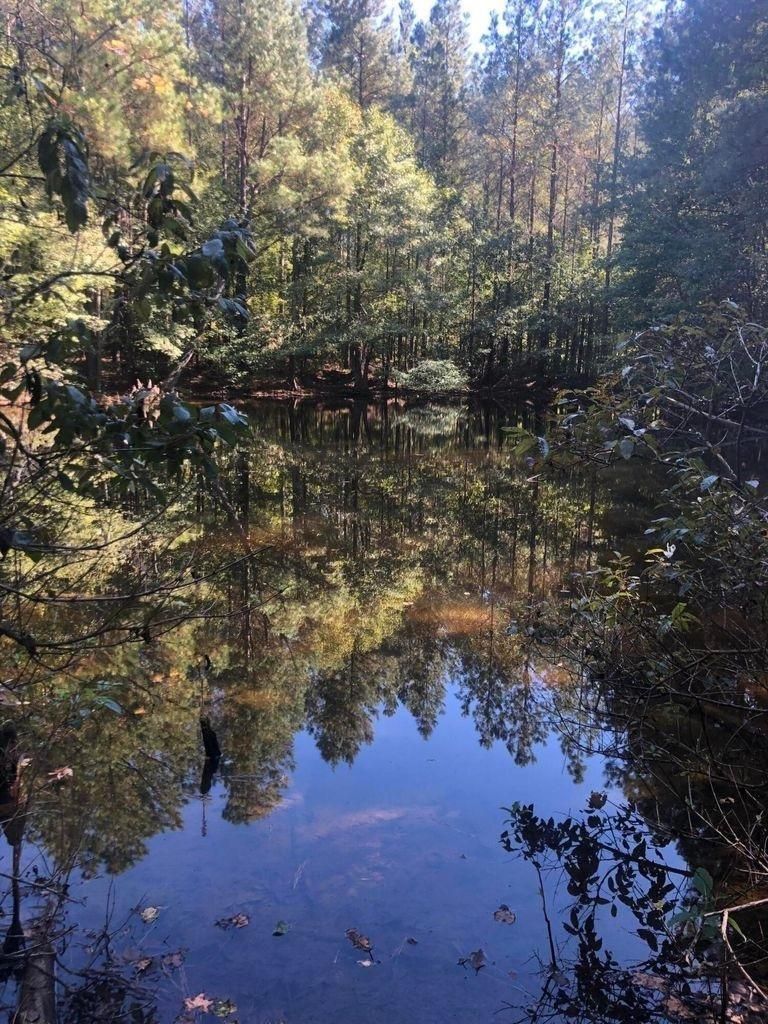 Mccool, Choctaw County, MS Recreational Property, Timberland Property