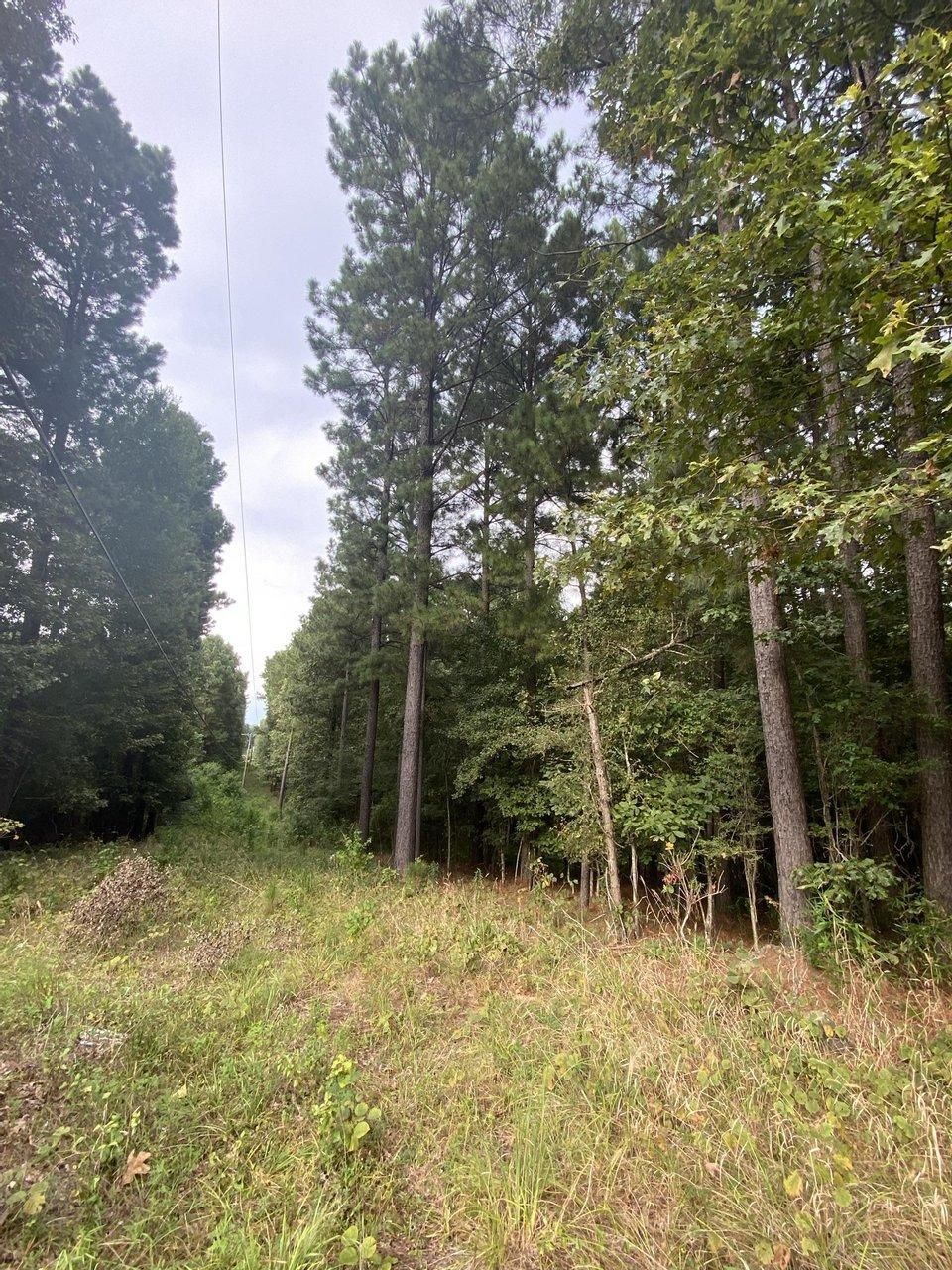 Ringgold, Bienville Parish, LA Recreational Property, Timberland