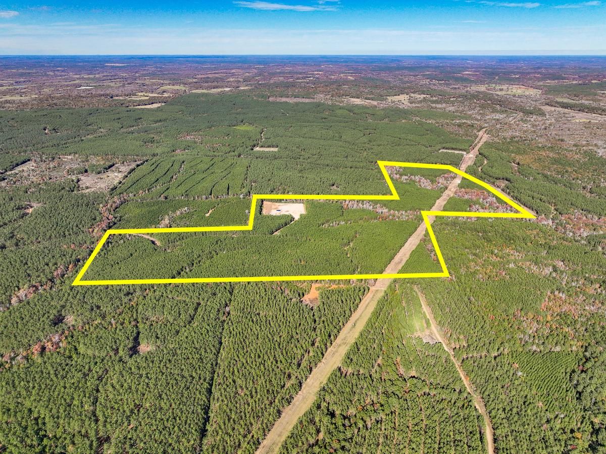 Woden, Nacogdoches County, TX Recreational Property, Timberland