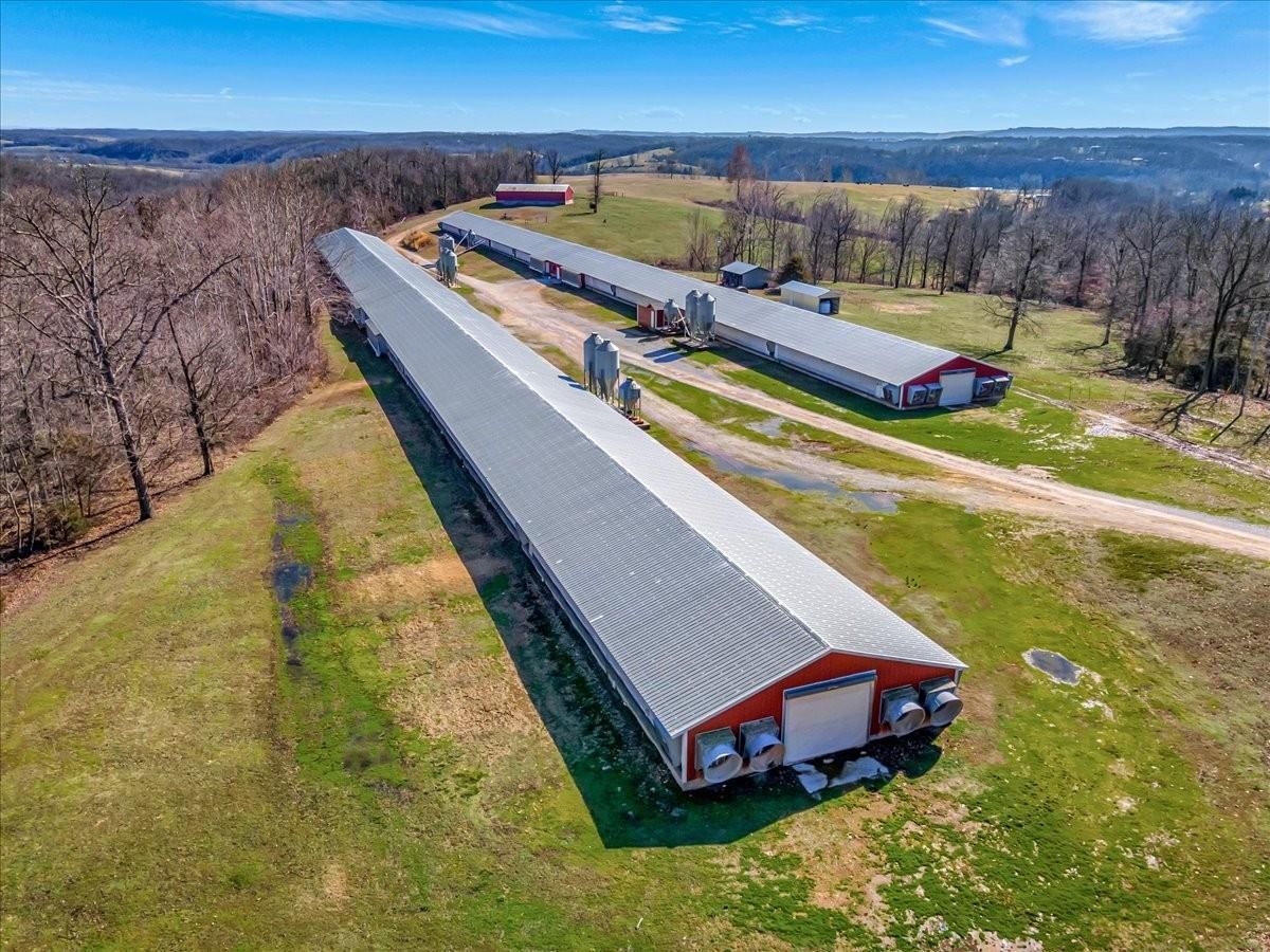 9982 Highway 45 Hindsville, AR 72738, Hindsville, AR 72738 LandWatch