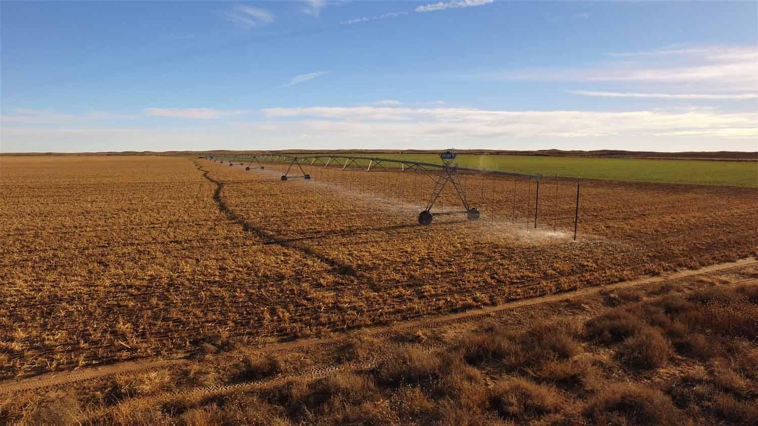 Portales, Roosevelt County, NM Farms and Ranches for sale Property ID