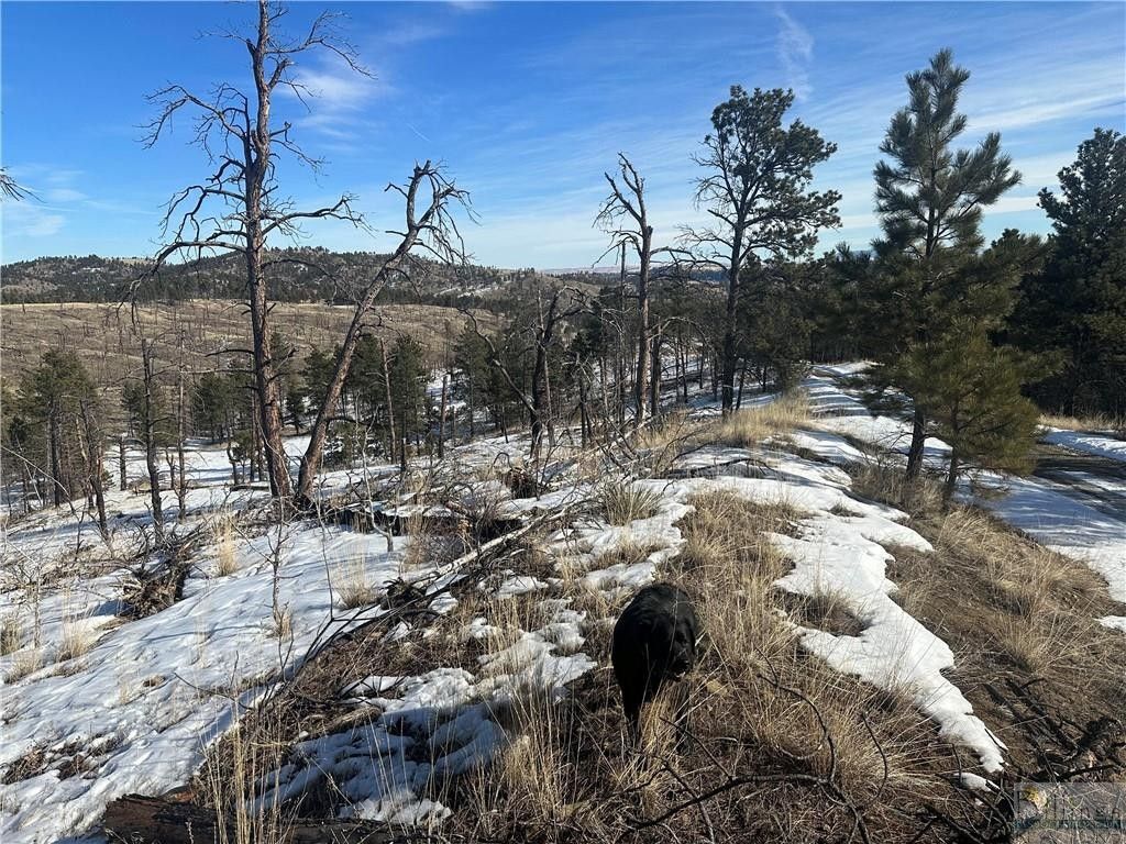 Columbus, Stillwater County, MT for sale Property ID 415798542 LandWatch