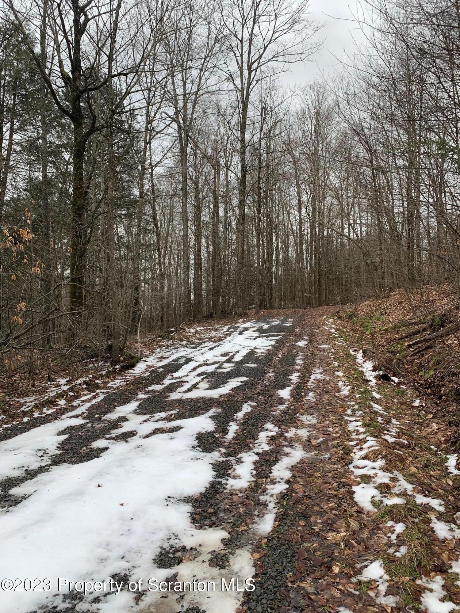 Montrose, Susquehanna County, PA Undeveloped Land for sale Property ID