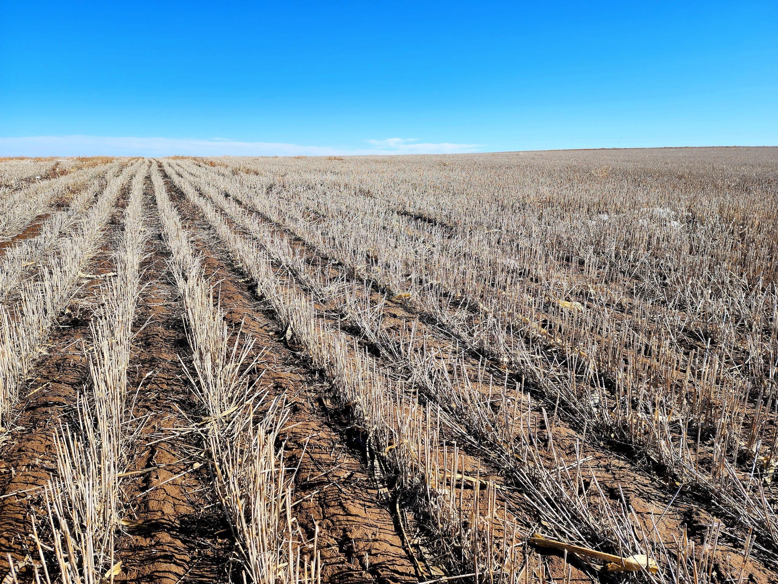 Kanorado, Sherman County, KS Farms and Ranches, Recreational Property