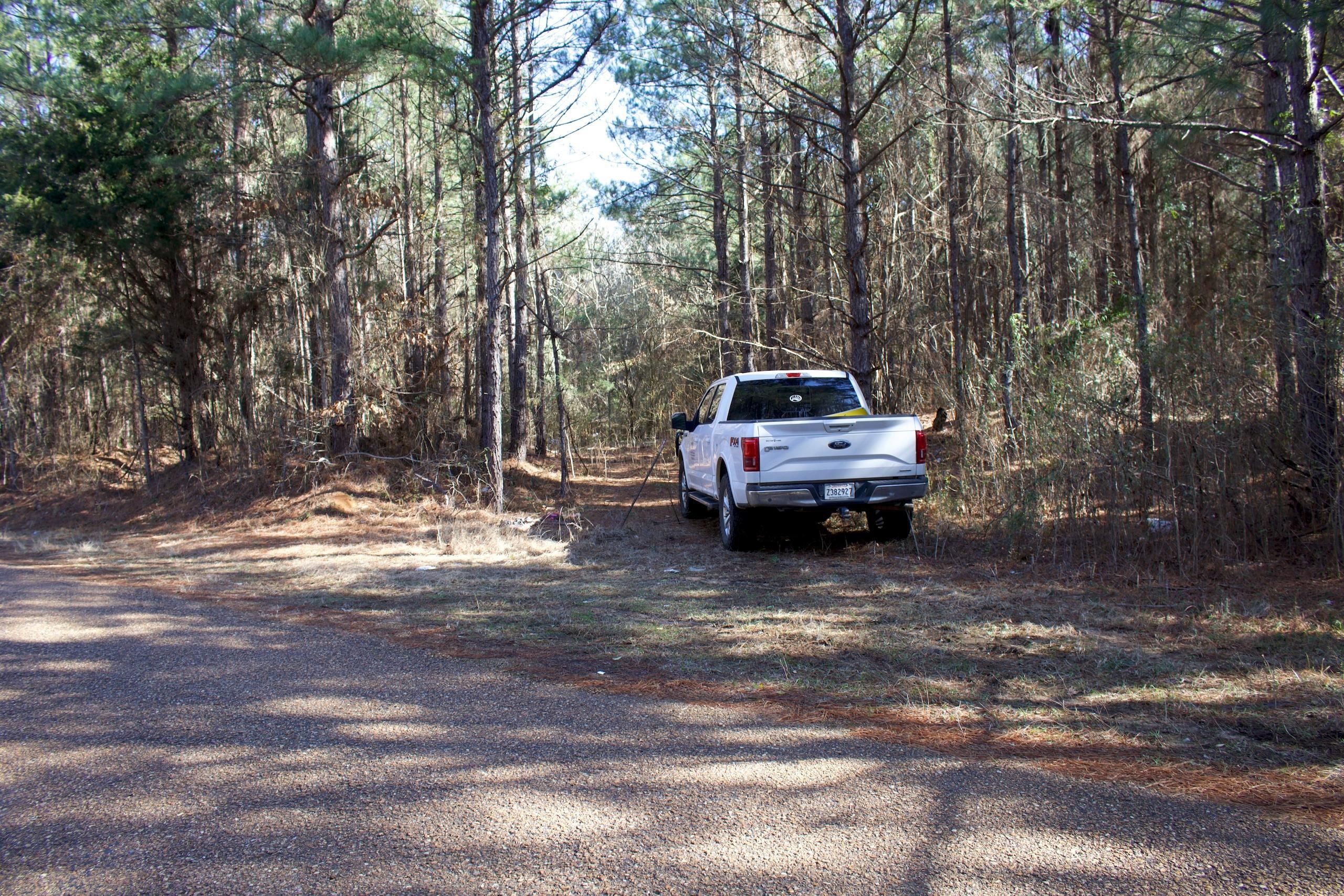 Montgomery, Grant Parish, LA Recreational Property, Timberland Property